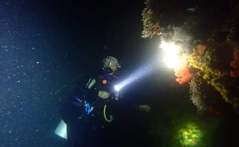 Night Scuba Diving Adventure in Mirissa, Sri Lanka
