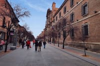 Alcalá de Henares and Cervantes from Madrid 6