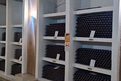 1 Day: Wine tasting tour to Milesti Mici and Cricova cellar from Moldova