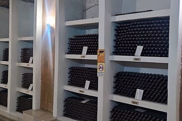 Wine Tasting Tour of Milesti Mici and Cricova in Moldova