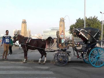 Cairo by Night: Traditional Horse Carriage Ride & City Tour