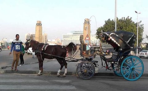 Cairo by Night: Traditional Horse Carriage Ride & City Tour