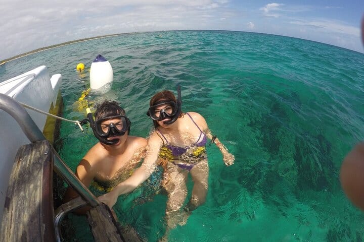 5 tours in 1 (Eco Farm/Horseback/City Tour/Buggy/Zipline)