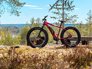 Rent an e-Fatbike