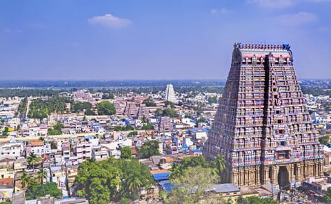 Cultural Temples and Traditions Tour in Chennai and Madurai