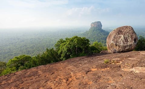 Pidurangala Rock Temple and Hiriwaduna Village Tour