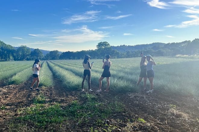 Aix eBike @ Lavender fields Tholonet