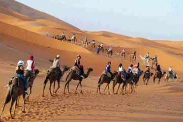 Luxury 3-Day Desert Tour from Fes to Marrakech via Ait Ben Haddou