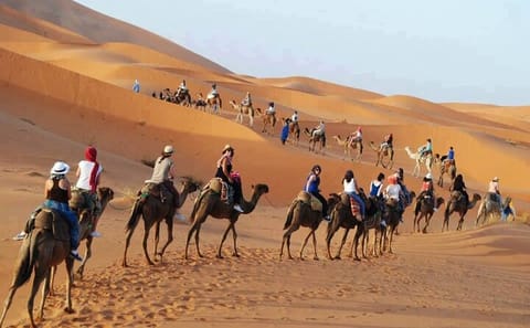 Luxury 3-Day Desert Tour from Fes to Marrakech via Ait Ben Haddou