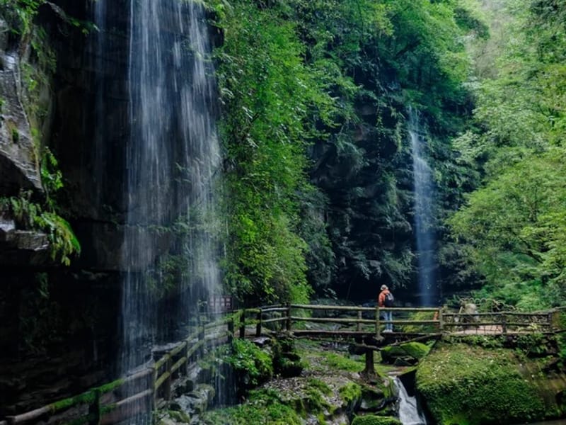 Shenzhen: Huizhou Tea Picking & Tea-Making Private Day Trip