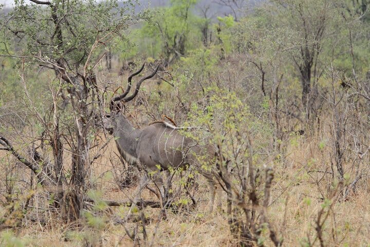 15 minutes scenic helicopter flight above Victoria Falls-Zimbabwe