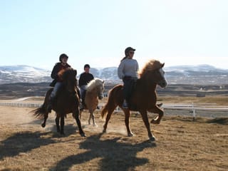 Pleasure in every hoof step, photo 9