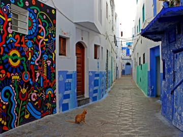 Day Trip from Tangier to Asilah – Private Van & Driver