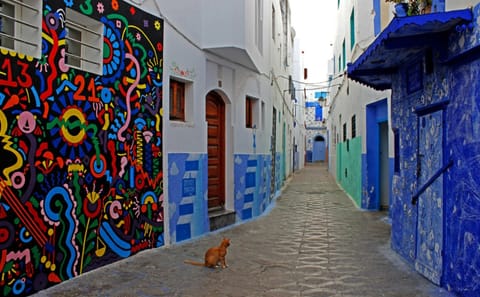Day Trip from Tangier to Asilah – Private Van & Driver