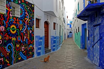 Day Trip from Tangier to Asilah – Private Van & Driver