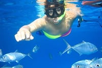 Swim with Dolphins Sea Trip Adventure with Lunch : Marsa Alam