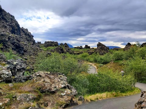 Lake Myvatn & Dettifoss, photo 3