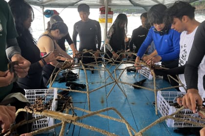 BALI UNDERWATER DREAMS