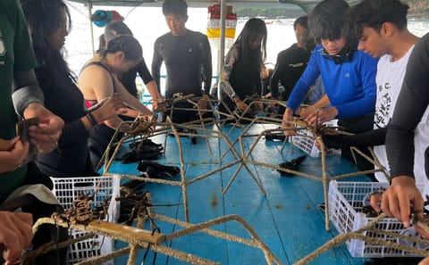 Snorkeling Adventure at Livingseas Coral Restoration Site, Bali