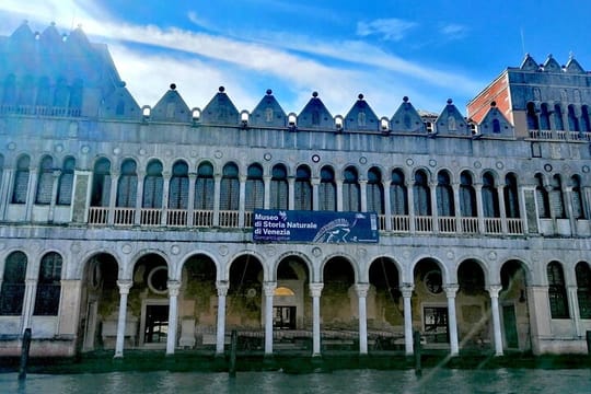 Venice Natural History Museum: Private Tour