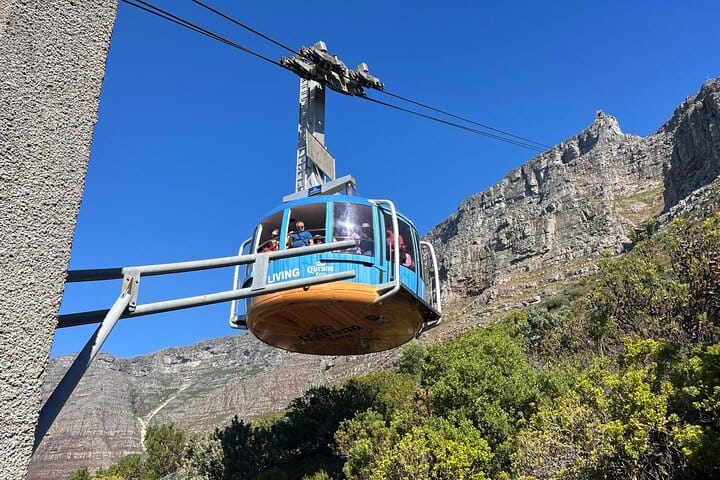 Full-Day Cape of Good Hope and Table Mountain with Penguins Tour