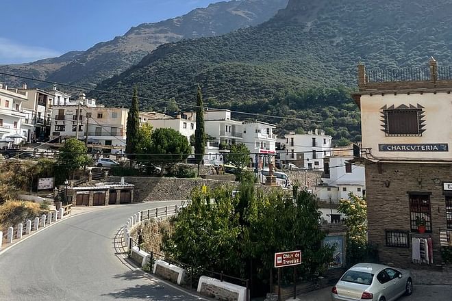 Granada: gita privata di un'intera giornata ad Alpujarras