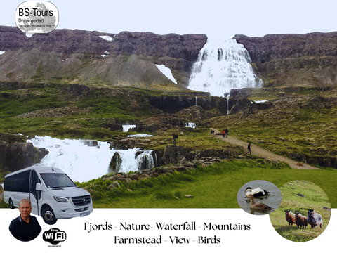 Dynjandi Waterfall & Countryside Visit