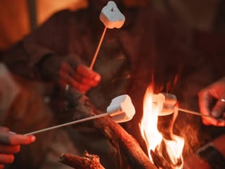 Aurora hunt with campfire, thermal suits & marshmallows, photo 17