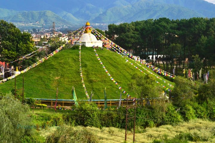 1 Day Phulchowki Day Hike – A Scenic Escape to Kathmandu’s Highest Hill