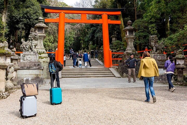 Discover Nara Park: A Day with Deer and Ancient Temples