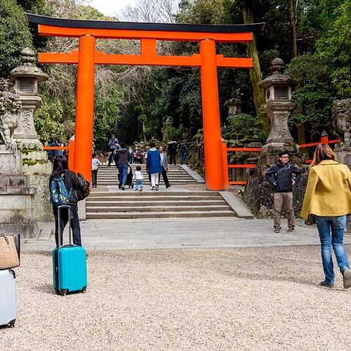 Discover Nara Park: A Day with Deer and Ancient Temples