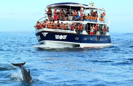 Highlights of Sri Lanka