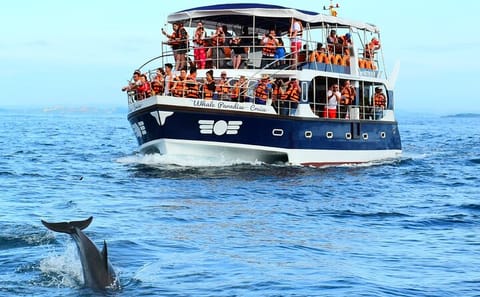 Four-Day Adventure Tour of Colombo, Galle, and Kandy