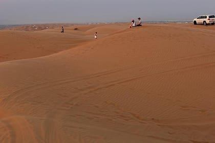 Safari Half-Day Wahiba Sands (Sharqiyah Sands) Desert