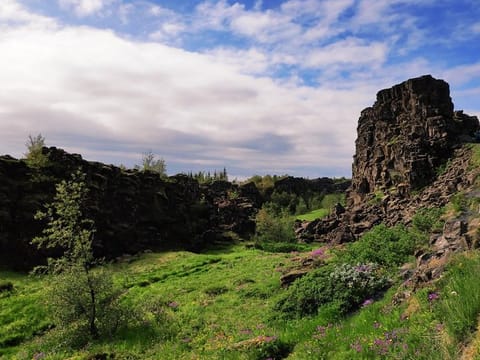 Thingvellir