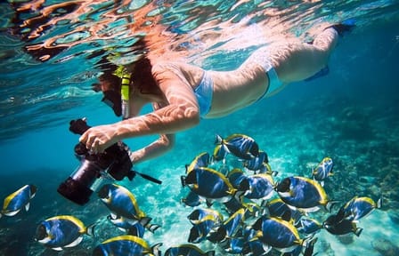 Snorkeling and Fishing Tour at Lovely Island, Hurghada