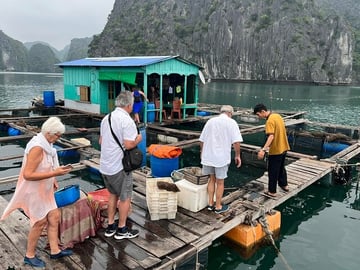 Ha noi: 3D- Halong, Lan ha bay classic cruise, Ninh Binh full day