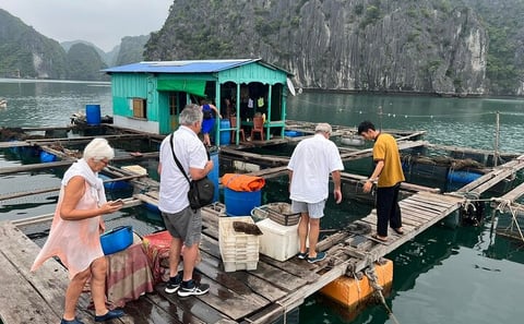 Ha noi: 3D- Halong, Lan ha bay classic cruise, Ninh Binh full day