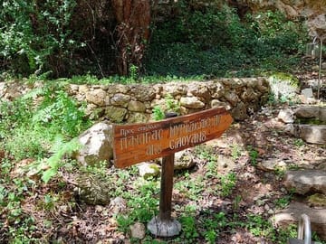Private Half-Day Walking Tour in Chania's Orthodox Gorge