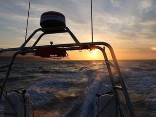 Akureyri Express Whales in the Midnight Sun, photo 9