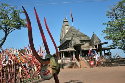 Tiger Tales: A Wildlife Adventure in Central India