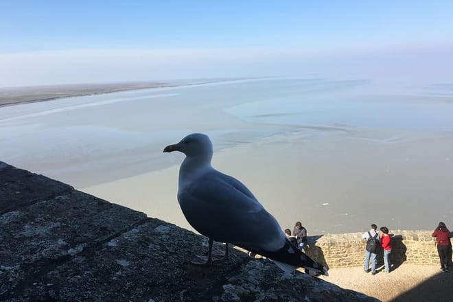 Private Mont-Saint-Michel Tour from Paris by Luxury Vehicle 9