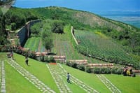 Kakheti: Signagi, Bodbe Monastery, Telavi, Wine Tour. (Group Tour) 3