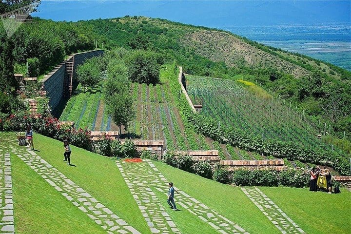 Kakheti: Signagi, Bodbe Monastery, Telavi, Wine Tour. (Group Tour) 3