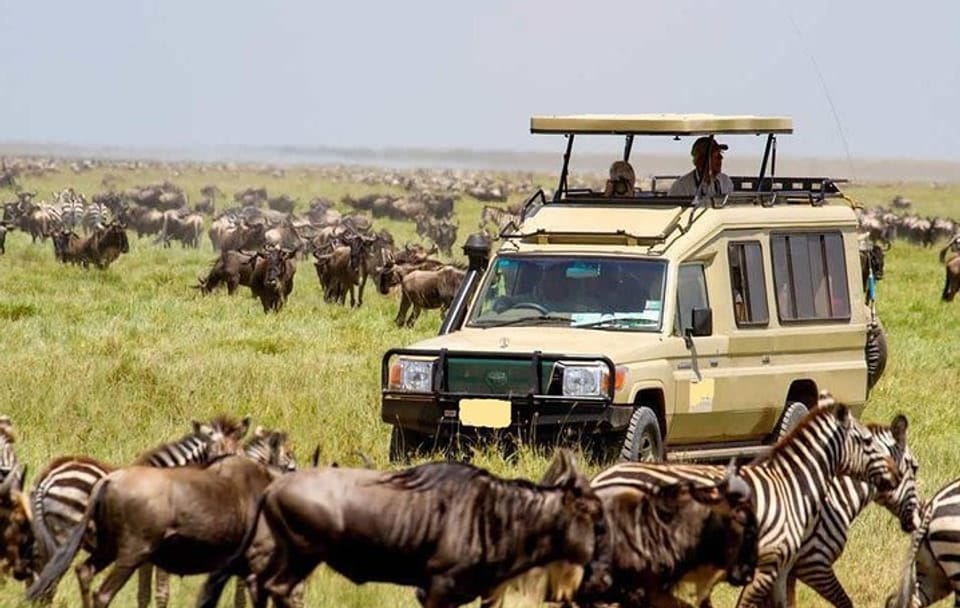 Luxury 6-Day Safari in Amboseli and Tsavo National Parks, Kenya