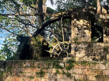 Cultural Sightseeing and Souvenir Shopping in Montego Bay