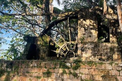 Sightseen tour and Souvenir shopping with private transportation in Montego Bay