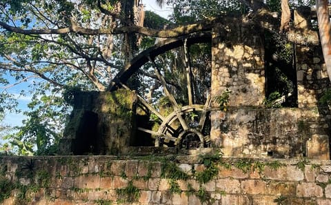 Cultural Sightseeing and Souvenir Shopping in Montego Bay