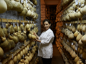 Traditional Cheese Factory Visit with Tasting in Isernia Countryside