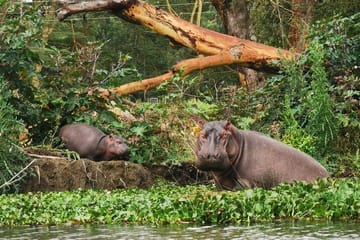 Lake Nakuru National Park Day Tour